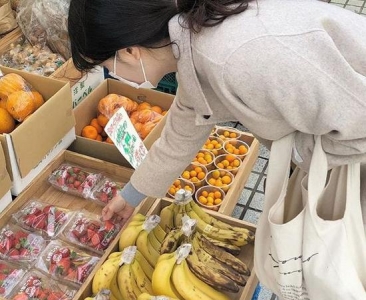 100w+人围观等更新 90后女孩火爆全网的独居日常