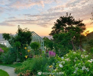 她40岁花300万在荒山造1500㎡花园