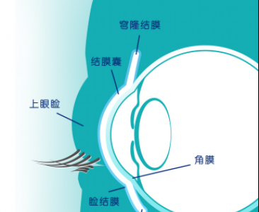 博士伦告诉你有关隐形眼镜的小贴士