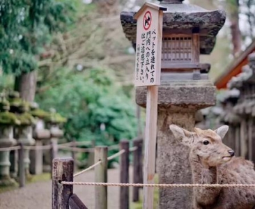 日本“电子签”要来了 快去打卡梁朝伟都忍不住晒照的旅行地