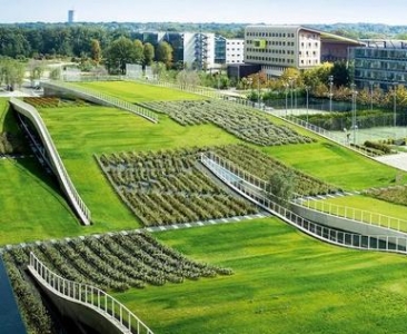 悬空的伊甸园：逃离城市地表 拥抱宁静天空